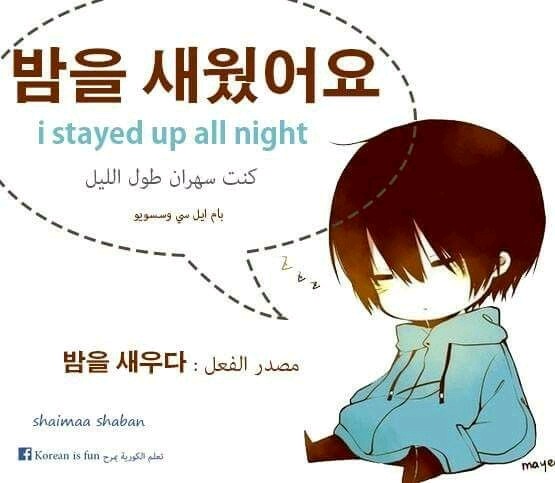 밤을 새웠어요 I stayed up all night 잠이 안와(요) I cannot sleep 잠옷 pajamas 잘 자요 ...
